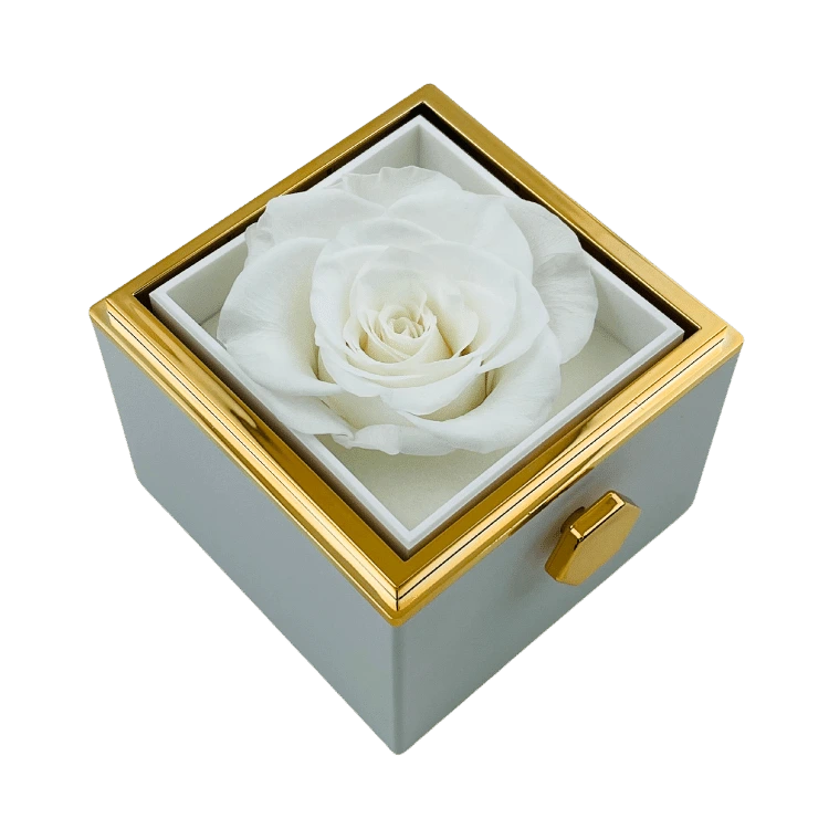 Eternal Rose Box & Personalized Necklace