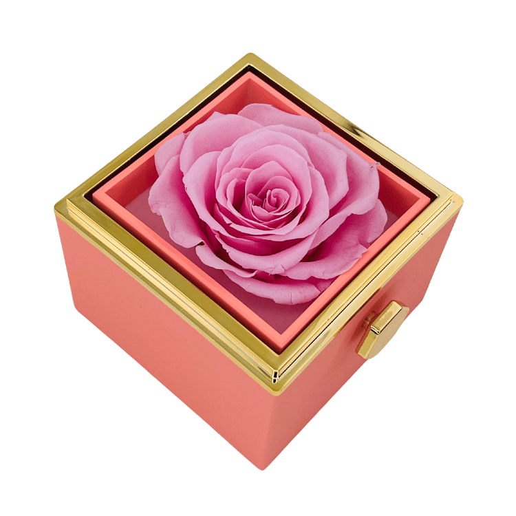 Ewige Rose Box