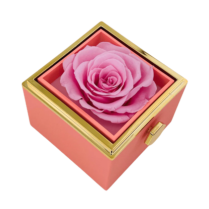 Ewige Rose Box & Personalisierte Halskette